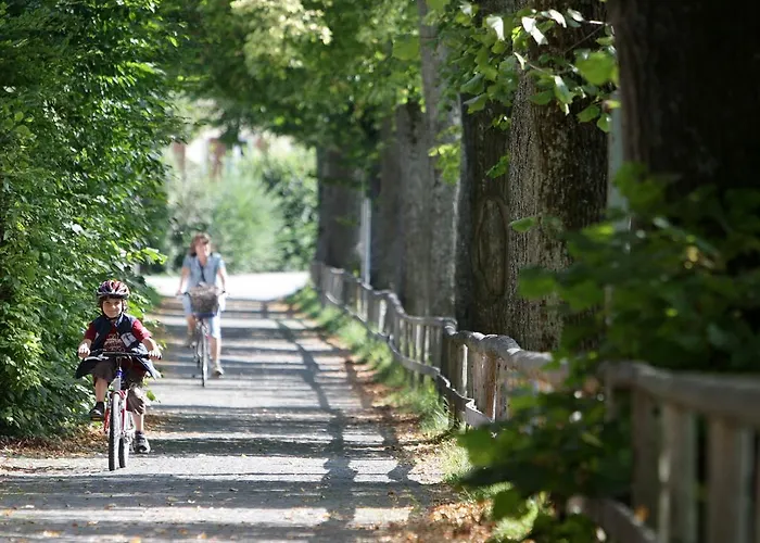 Haus Elise 아파트 *