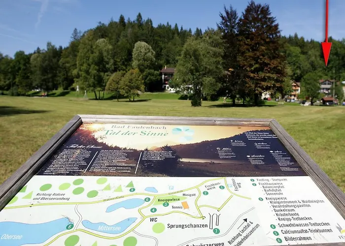 公寓 豪斯伊利斯酒店 *